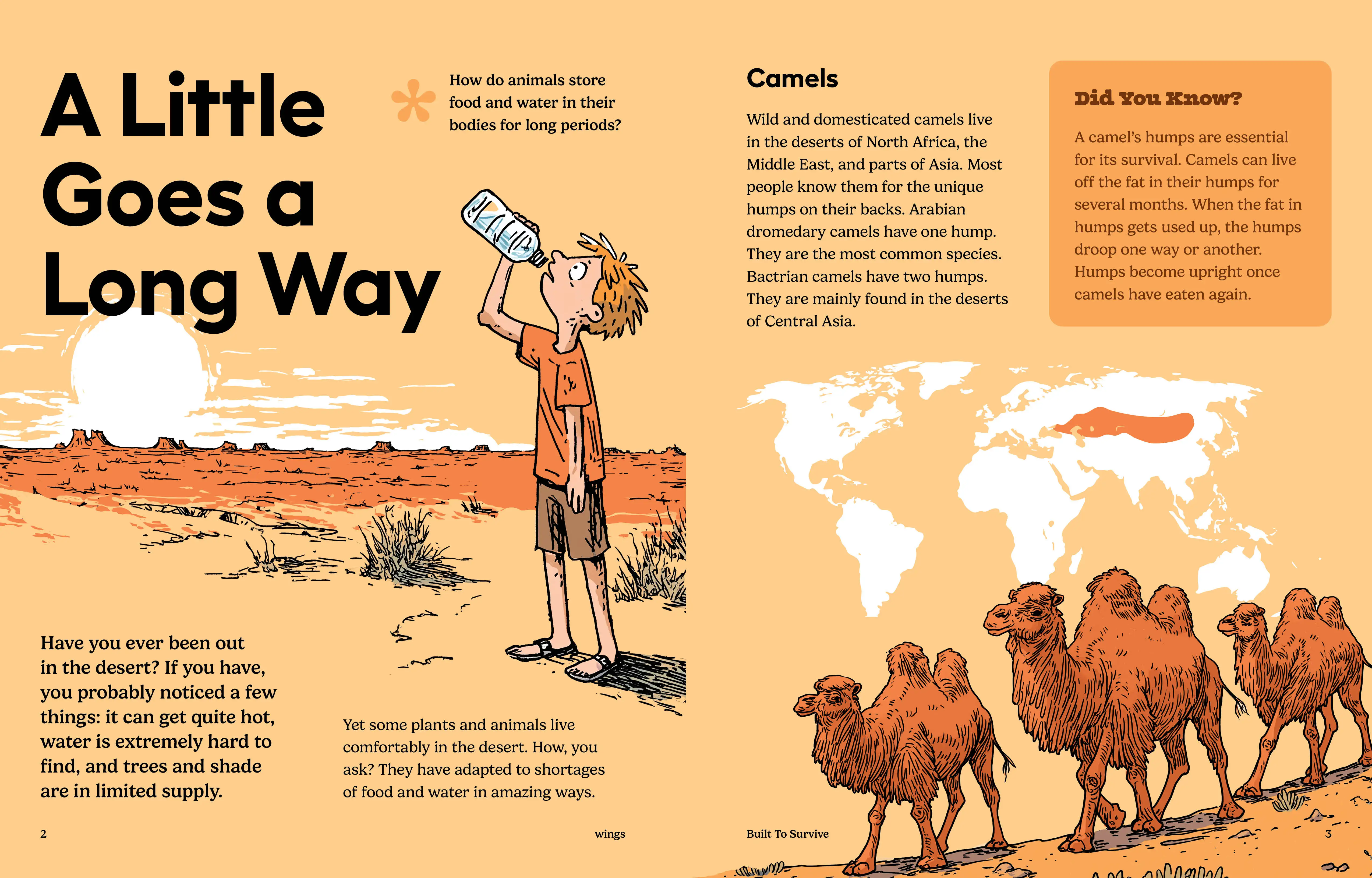 Imagine Learning Wings magazine spread