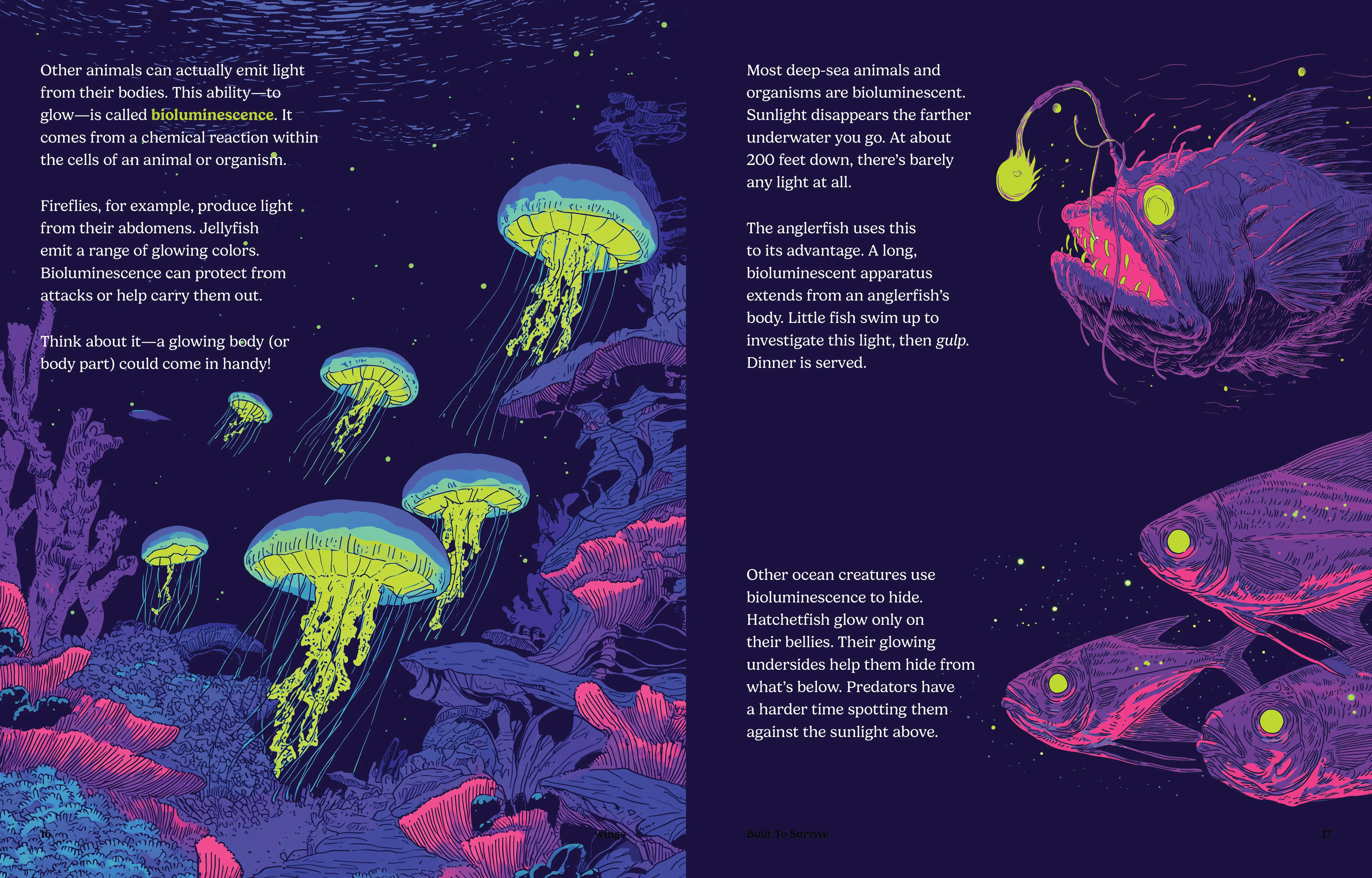 Imagine Learning Wings magazine spread