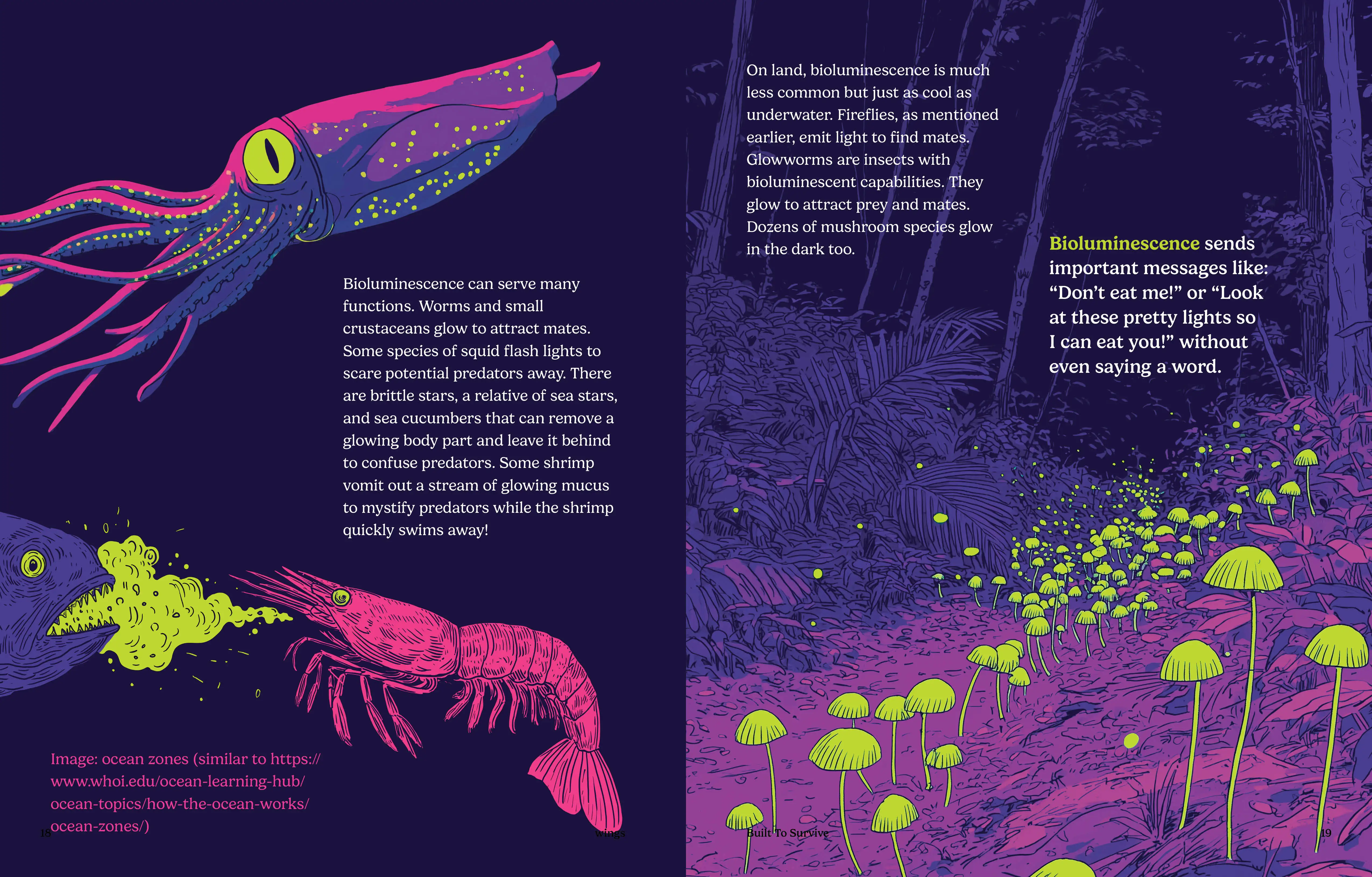 Imagine Learning Wings magazine spread