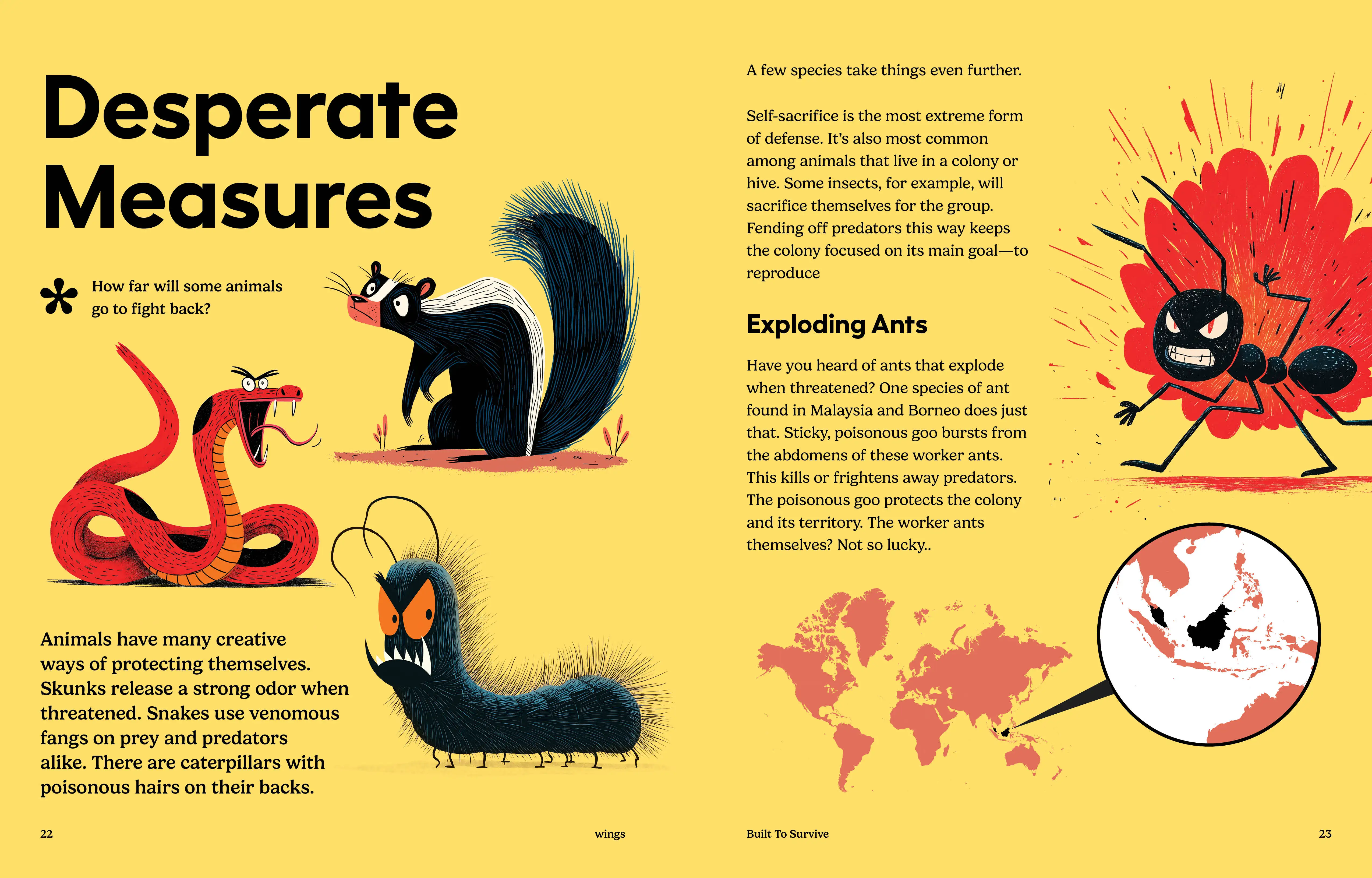 Imagine Learning Wings magazine spread