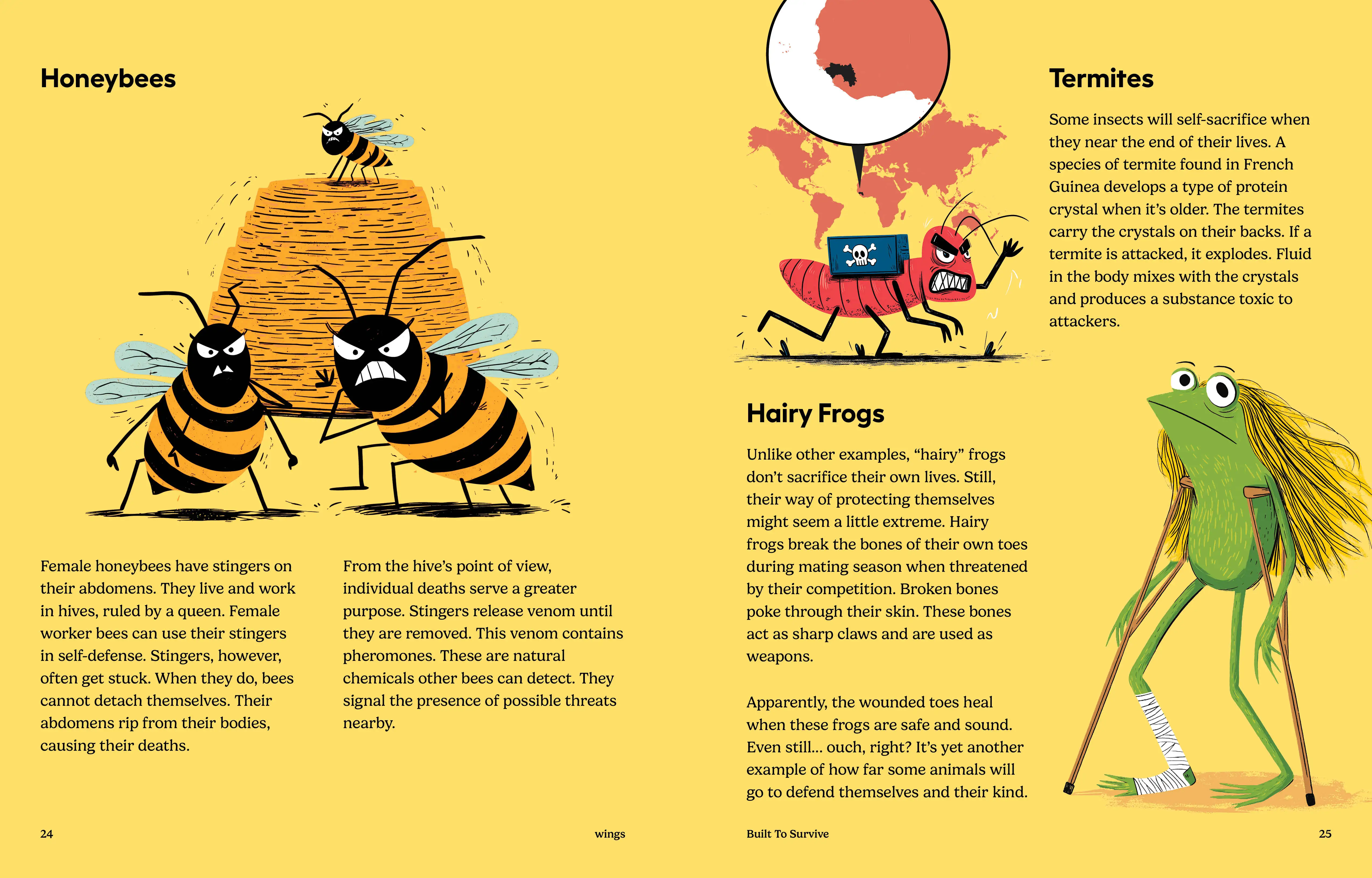 Imagine Learning Wings magazine spread